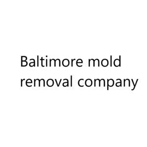 Baltimore mold removal company - Baltimore, MD, USA