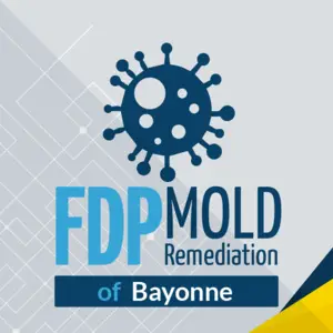 FDP Mold Remediation of Bayonne - Bayonne, NJ, USA