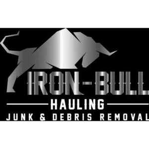 Iron Bull Dumpster Rental - Leesburg, VA, USA