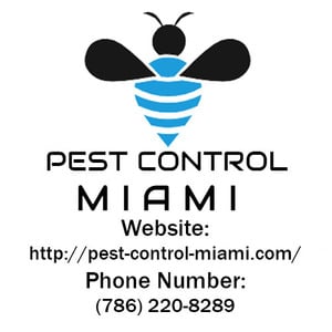 Expert Pest Control Miami