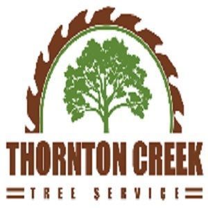 Thornton Creek Tree Service - Thornton, CO, USA