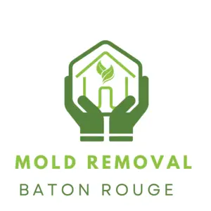 Mold Removal Baton Rouge - Baton Rouge, LA, USA