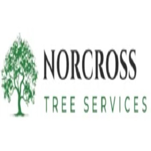 Norcross Tree Services - Norcross, GA, USA