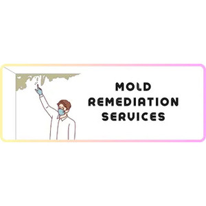 Boca Raton Mold Remova Experts - Boca Raton, FL, USA