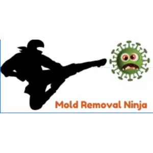 Mold Removal Ninja