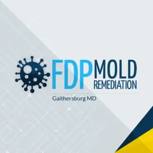 FDP Mold Remediation of Gaithersburg - Gaithersburg, MD, USA