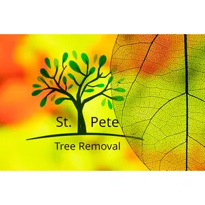 St. Petersburg Tree Removal - St  Petersburg, FL, USA