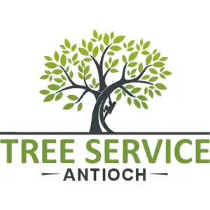 Tree Service Antioch - Antioch, CA, USA