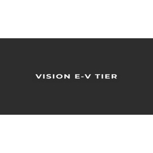 Vision E-V TIER LLC - Houston, TX, USA