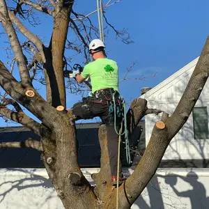 Arbor Pro Tree Service - Ogden, UT, USA