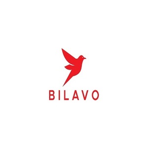 Bilavo Agency - Houston, TX, USA