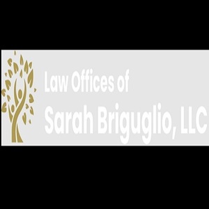 Law Offices of Sarah Briguglio - St. Petersburg, FL, USA