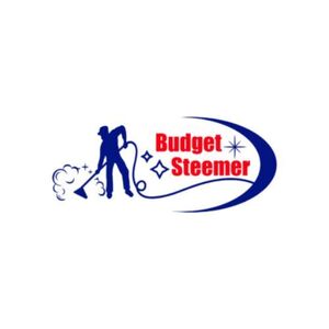 Budget Steemer - Winter Garden, FL, USA