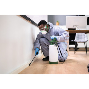 Central Helper Pest Control - Albuquerque, NM, USA