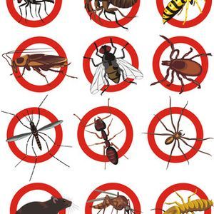 http://pestcontrolbyfleet.com