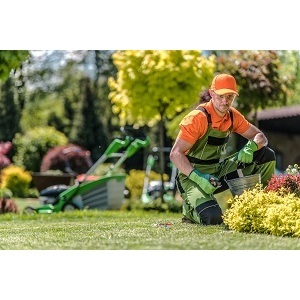 Corona Landscaping - Corona, CA, USA