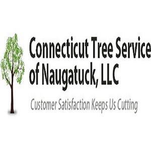 Connecticut Tree Service of Naugatuck LLC - Woodbury Center, CT, USA