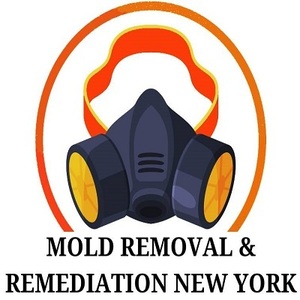 Mold Removal & Remediation New York - Bronx - Bronx, NY, USA