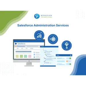 Salesforce administrstion services