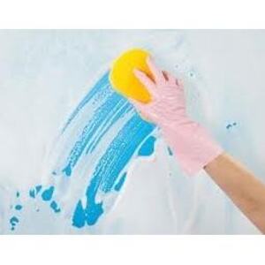 Pro cleaners Croydon