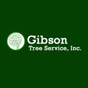 tree care specialist south charleston wv - Charleston, WV, USA