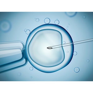 Fertility Link - Boston, MA, USA