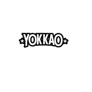 YOKKAO Boxing Co.Ltd - Pittston, PA, USA