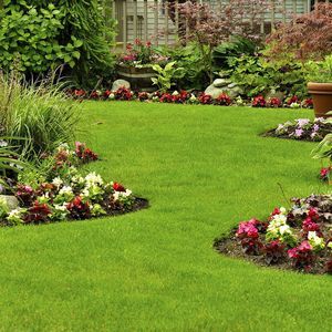 August Bloom Garden And Landscape Services, LLC - Windsor Hills, CA, USA