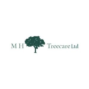 MH Treecare Ltd - Weymouth, Dorset, United Kingdom