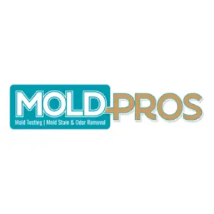 Mold Pros Maine - Winterport, ME, United States, ME, USA