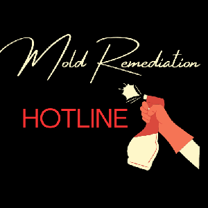 Mold Remediation Hotline Roswell GA - Roswell, GA, USA