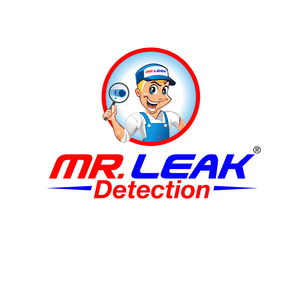 Mr. Leak Detection of Snellville - Snellville, GA, USA