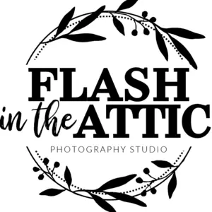 Flash In The Attic - Wedmore, Somerset, United Kingdom