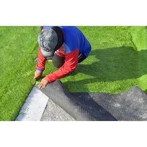 Paterson Artificial Grass - Paterson, NJ, USA