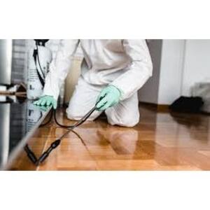 Pest Control Harrisdale - Harrisdale, WA, Australia