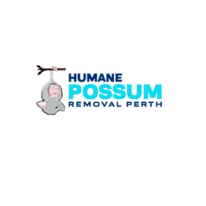 Humane Possum Removal Perth - Perth, WA, Australia