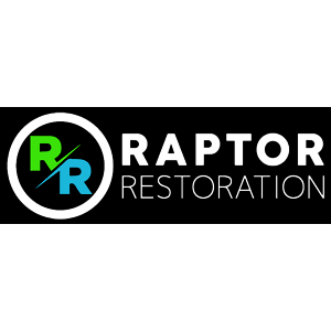 Raptor Restoration - Indianapolis, IN, USA