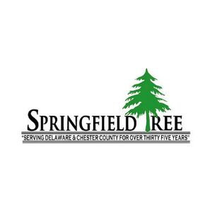 Springfield Tree and Land - Chadds Ford, PA, USA