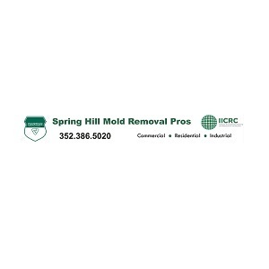 Spring Hill Mold Remediation Pros - Spring Hill, FL, USA