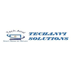 Techanvi Solutions - Stone Ridge, NY, USA