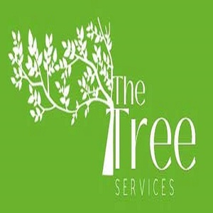 The Tree Services Ipswich - Ipswich, QLD, Australia