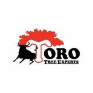 Toro Tree Experts - Baton Rouge, LA, USA