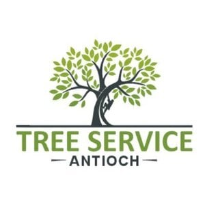 Tree Service Antioch - Antioch, CA, USA