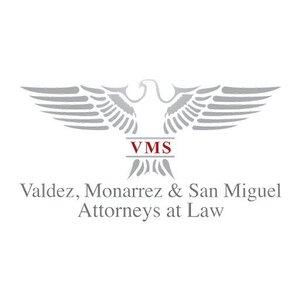 Vamos Law Firm - McAllen, TX, USA