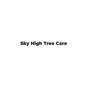 Tree Surgeon in Chesterfield - Chesterfield, Derbyshire, United Kingdom